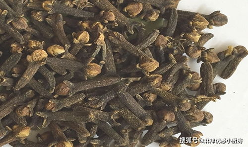 揭秘！9米超长钓鱼饵料自制教程，手把手教你打造钓鱼魔爪