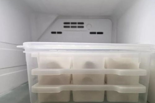 超大饵料存储箱的妙用，从收纳到多功能改造