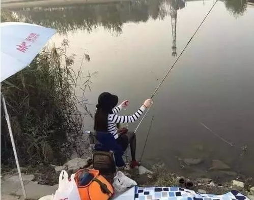 驴友钓鱼饵料怎么样啊？