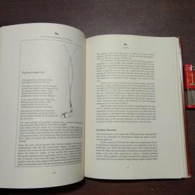 Mastering the Art of Fly Fishing:How to Craft a Fly Rod with a Pencil