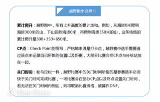 流沙河钓鱼饵料使用全攻略，从入门到精通的详细指南