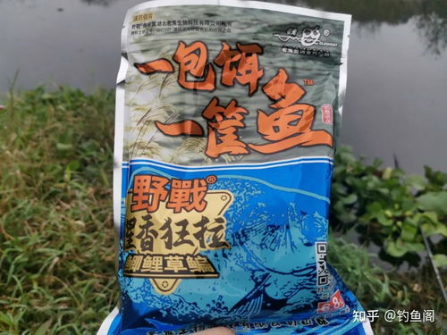 小老头钓鱼饵料，品质与效果的深度解析