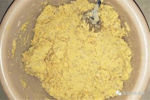 钓鱼饵料变硬怎么办？这些方法帮你轻松解决！