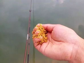 南方船钓鱼饵料怎么样，全面评测与使用指南