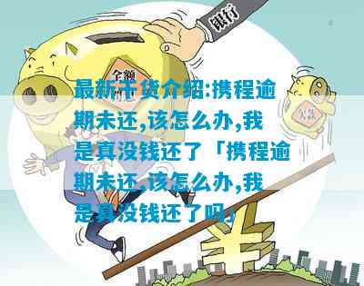 钓鱼饵料狂扔，原因、影响与解决办法