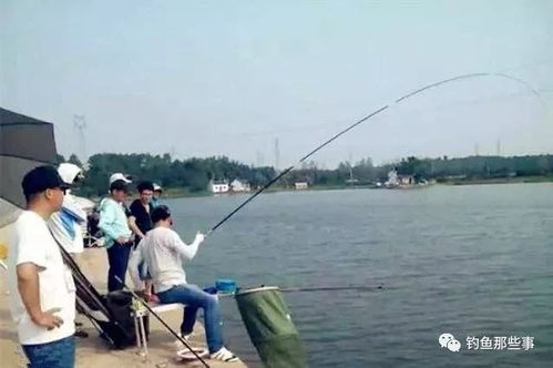 钓鱼饵料工程师怎么样？揭秘这个职业的前景与挑战