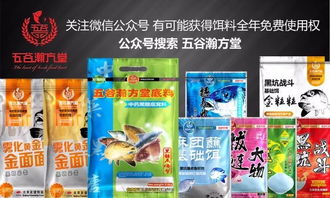 冬季水冰钓鱼饵料秘制指南，从食材选择到实战应用