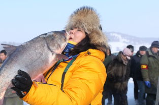 Winter Fish Pond Fishing Techniques:Mastering the Art of Catching Fish in Shallow Water
