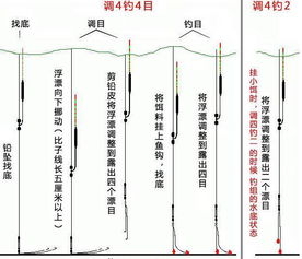 钓鱼饵料鱼都不吃？原因分析与解决策略