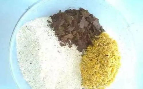 原神秘境，打造你的钓鱼饵料配方