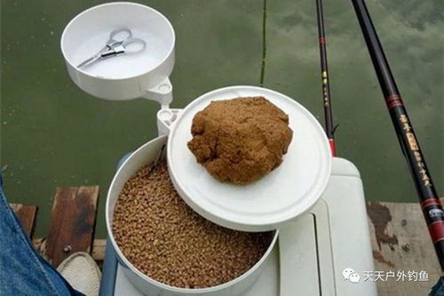 钓鱼饵料带橡皮筋，提升上饵效率的实用技巧