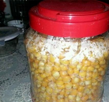 生玉米做钓鱼饵料，低成本高回报的垂钓秘籍