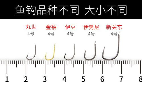 钓鱼饵料变化图表怎么看，从新手到高手的饵料选择指南