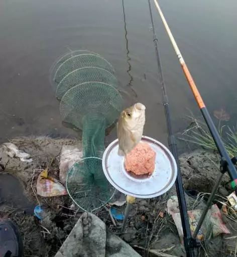 抛杆钓鱼饵料怎么开饵快，3分钟搞定，鱼儿抢着咬！