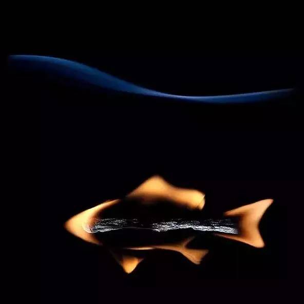 Mastering the Art of Angling:How to Compliment Your丈夫s Exceptional Fishing Skills