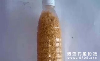 钓鱼时饵料感染烂手的急救处理与自救指南