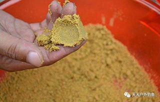 钓鱼饵料黑水蛆怎么办？这些实用技巧帮你轻松应对！