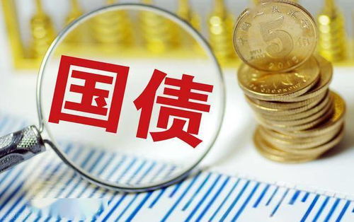 精准掌控饵料用量，提升钓鱼成功率