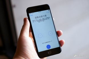 谷哥钓鱼饵料怎么样？深度评测与用户反馈