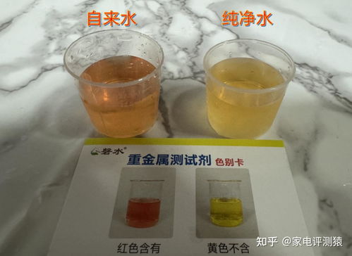 德禾钓鱼饵料怎么样？深度评测与使用体验