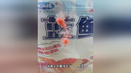 九哥钓鱼饵料评测，效果如何？