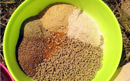 金豆子饵料好用吗？怎么用？全面解析与实用技巧