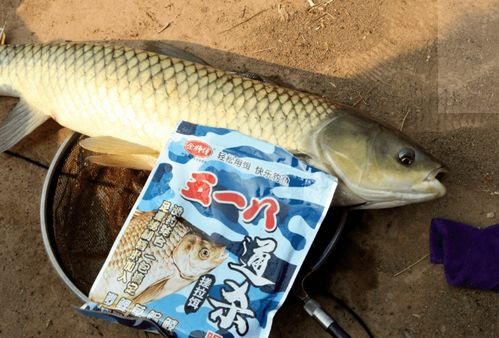 武汉龙哥钓鱼饵料评测，效果如何？用户真实反馈与深度解析