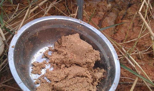钓鱼饵料怎么做不散料好