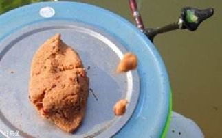 海钓鱼饵料在野钓中的应用怎么样？