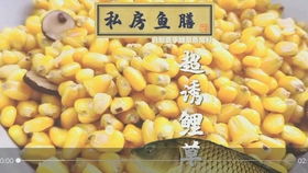 钓大鱼必学！自制超诱鱼黄色饵料秘方