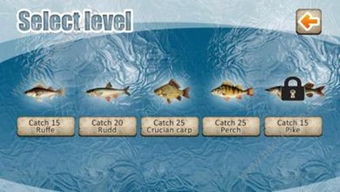 Mastering Winter Fishing:Techniques and Tips for Choosing the Right Fishing Bait