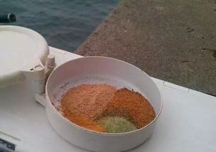 钓鱼饵料小白虫怎么办？这些方法帮你轻松解决！