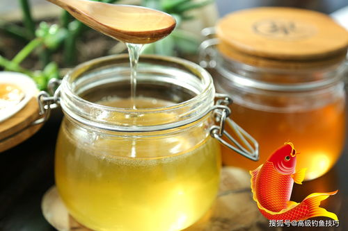 四月钓鱼饵料怎么搭配？春季钓鱼饵料搭配全攻略