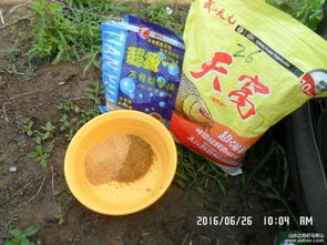 虾笼钓鱼饵料投放全攻略，从入门到精通