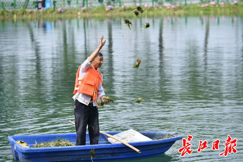 饵料沉底怎么办，10个实用解决方案