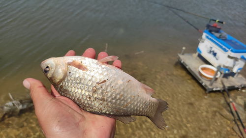 山海关钓鱼饵料大揭秘，让你的鱼儿争先恐后上钩！