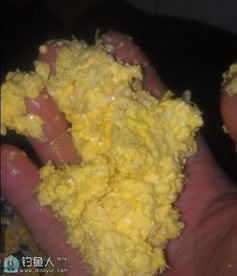 秘制玉米粒饵料，钓鱼高手的黄金配方