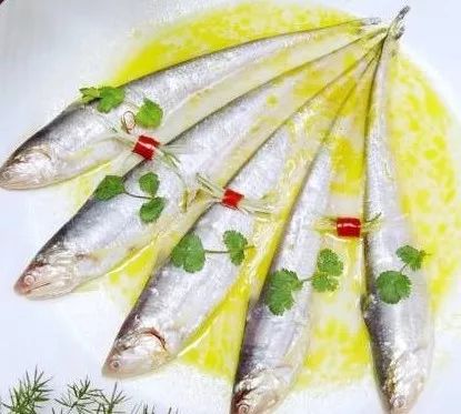 钓鱼饵料拔丝怎么办？5分钟视频教你完美解决！