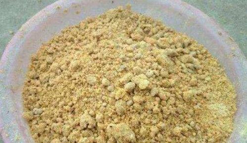 纯黄豆也能钓大鱼？教你用天然食材自制无敌饵料
