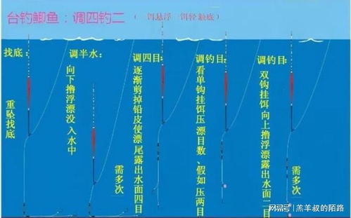 湖头钓鱼饵料配制全攻略，视频教程详解