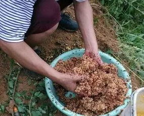 学做野钓鱼饵料怎么样？一场与自然的亲密对话