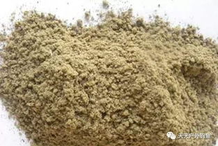 钓鱼饵料怎么粘得紧点呢？饵料粘性提升全攻略