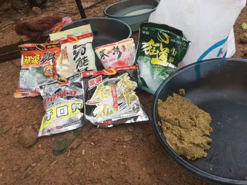 钓鱼拌饵秘方，如何调制高效鱼饵