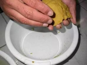 水瓶钓鱼饵料制作全攻略，简单易学，效果惊人！
