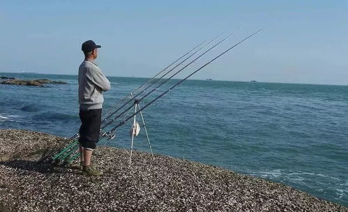 西非海钓饵料配制指南，提升钓鱼成功率的关键技巧