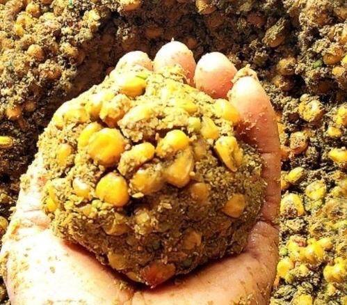 玉米制造钓鱼饵料的多种方法及使用技巧