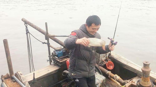 桥筏钓鱼饵料状态怎么样？