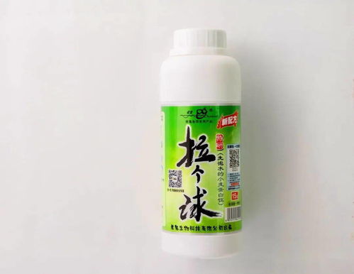 黄鹿山钓鱼饵料怎么样？深度解析与实战效果评测