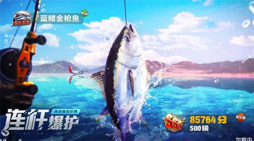 通威鱼饵料钓鱼怎么样？全面评测与用户反馈