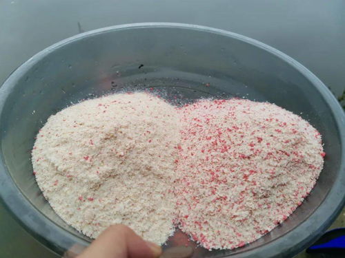 商品玉米的妙用，打造无敌钓鱼饵料的秘诀